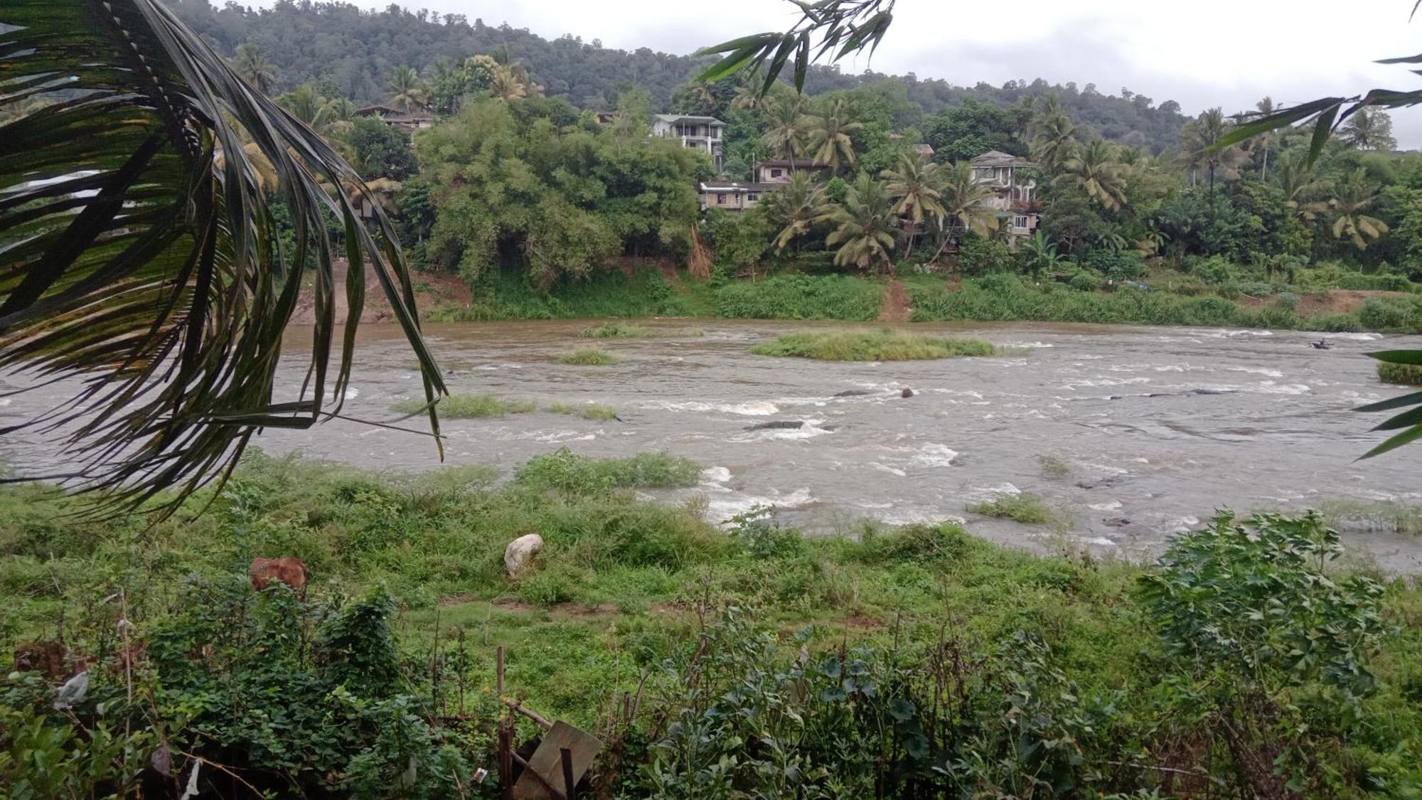 Kandy River Garden ภายนอก รูปภาพ